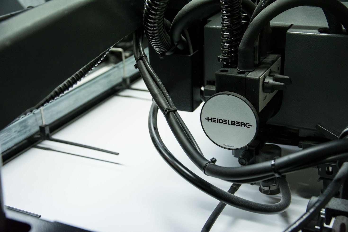 先輩印刷女子から学ぶ成功の秘訣